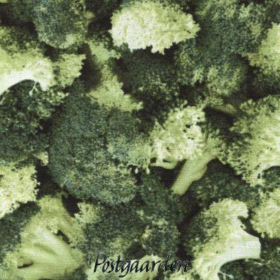 6741 Broccoli patchworkstof