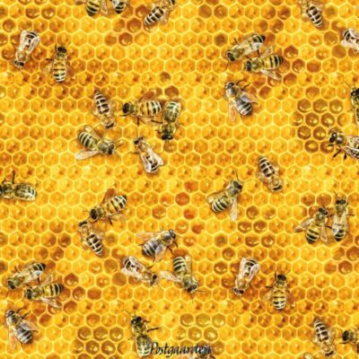 7185 - Bier på voks patchworkstof