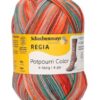 1103 Regia Potpourri 4-trådet Strømpegarn