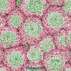 7383 - Pink Sukkulenter patchworkstof