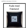 Pude med frøstand 1602