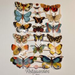 507297 Sommerfugle galnsbilled