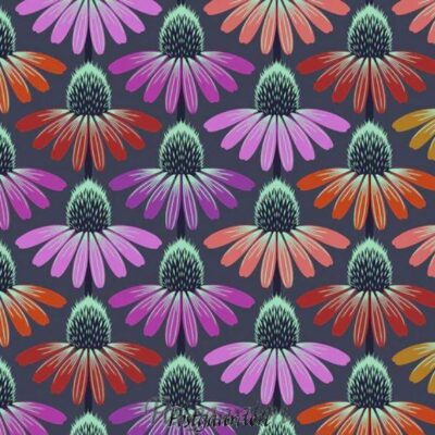 7581 Echinacea Glow