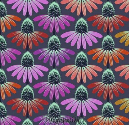 7581 Echinacea Glow