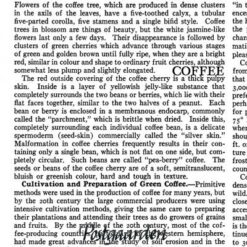 7649 Hvid med sort tekst - Coffee - patchworkstof