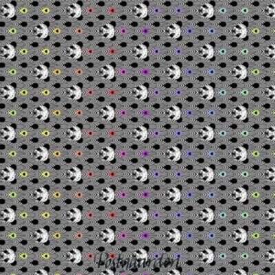 7664 Pandaer - Tula Pink - patchworkstof