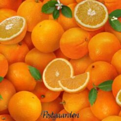 appelsiner patchworkstof - postgaarden.com