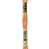 3825 DMC broderigarn mouline - postgaarden.com