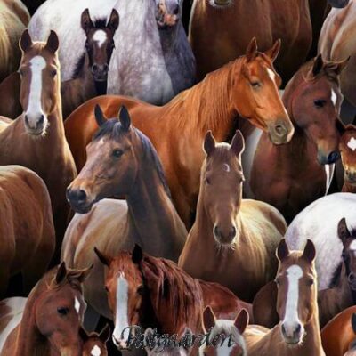 7854 heste patchworkstof - postgaarden.com